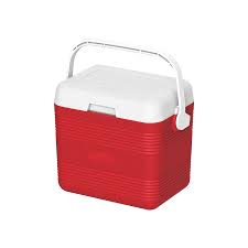 Cooler Box 10 Ltr